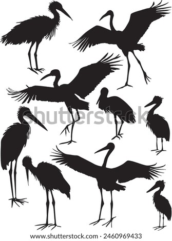 illustration with herons collection isolated on white background