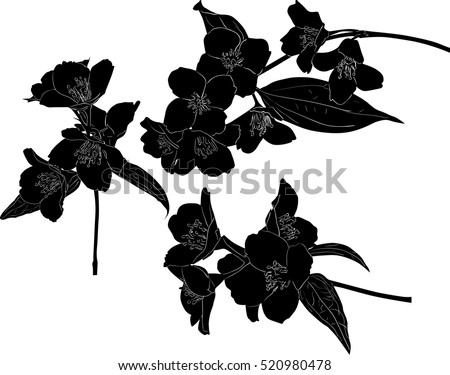 Floral Vector Graphics | 123Freevectors