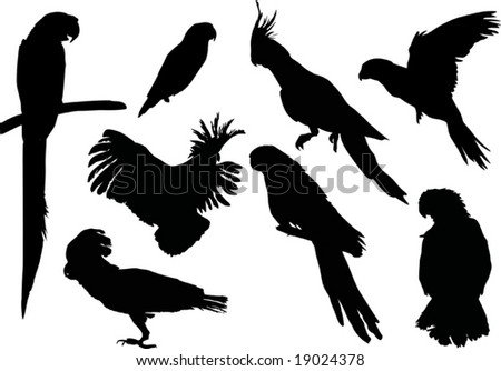 Parrot Silhouettes Collection Isolated On White Background Stock Vector ...