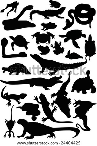 reptile and amphibian silhouettes isolated on white background