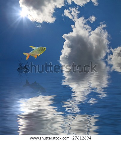 jumping fish under bright sun on blue sky with clouds