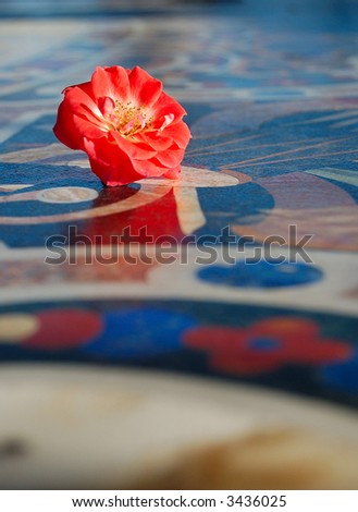 One rose flower on the mosaic table
