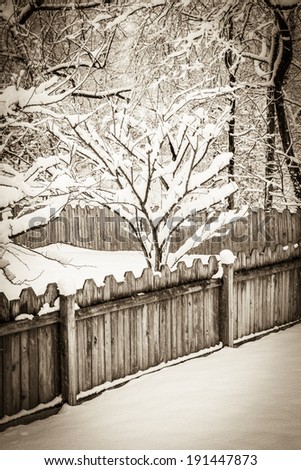A large evergreen tree is blanketed in soft, shimmering snow; a fresh snowfall; vertical format; sepia vintage colortone
