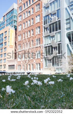 NEW YORK - APRIL 6:  Spring has sprung along New York\'s High Line Park. Photo taken April 6, 2014.