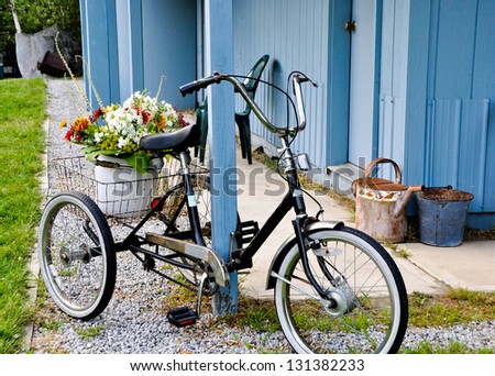 An old black tricycle is parked alongside a blue building. A bucket of flowers sits in the cargo basket of the bicycle.