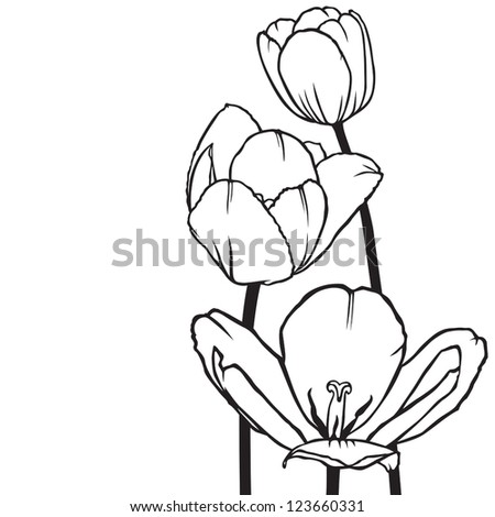 Decorative bouquet of flowers tulips for decoration greeting cards and invitations