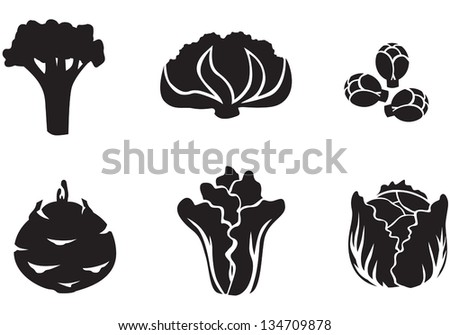 Set of silhouette images of different varieties of cabbage