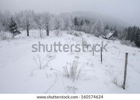 Winter Cottage