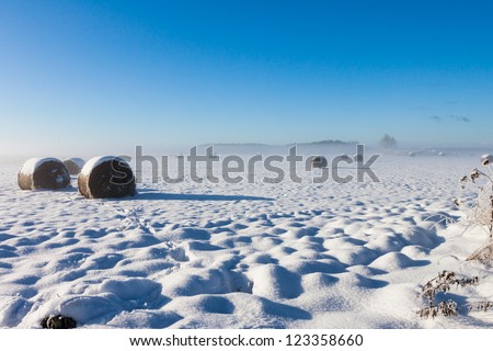 Bales of hay laying in snow on farm winter field