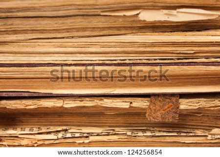 Old books paper pages as a background