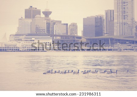 Ducks on Vancouver downtown background. Vintage image.