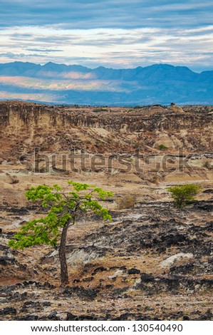 View of dry desolate desert with Andes Mountains in the background