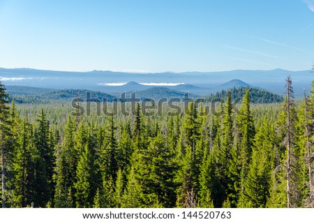 Thick pine tree forest with rolling blue hills in Central Oregon