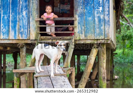 SANTA RITA, PERU - MARCH 21: Dog guarding the entrance to a house in the village of Santa Rita, Peru on March 21, 2015.  Santa Rita is a community deep inside the Amazon Rainforest.