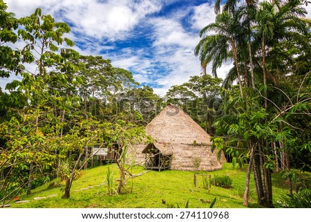 Traditional indigenous dwelling known as a Maloka in the Amazon Rainforest in Brazil