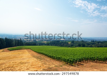 View of a vineyard with the Willamette Valley below in Oregon wine country
