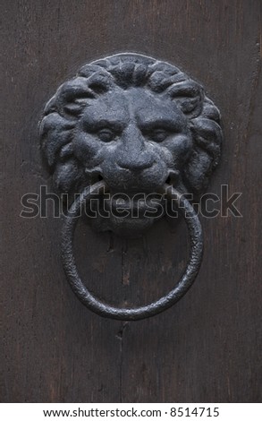 lionhead knocker door