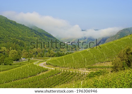 An image looking down across vineyards of the Moselle Valley in Germany with a small village in the distance along with castle ruins