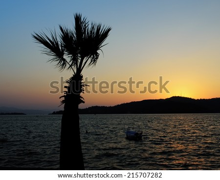 Image of a palm tree silhouette against a sunset with room for copy space, taken along the sea front in Fethiye, Turkey
