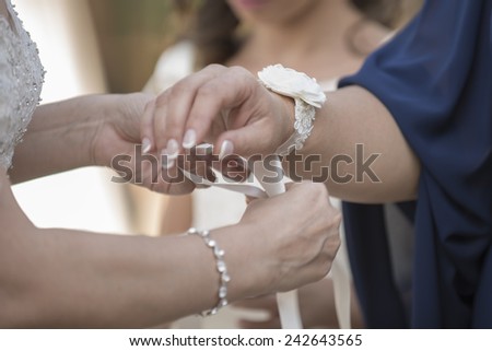 Bride and wedding accessories