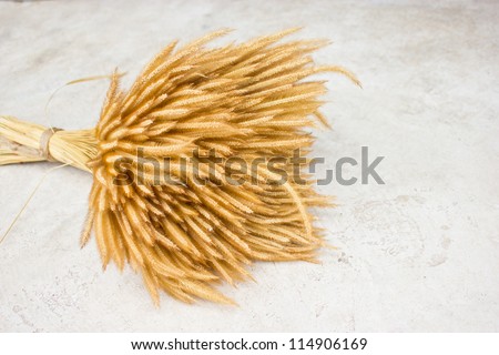 Sheaf of wheat on ground.