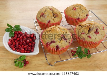 Freshly baked cranberry  muffins on cooling rack with dish of cranberries.