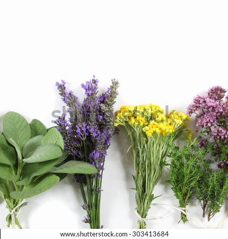 Bunch of fresh herbs on white background