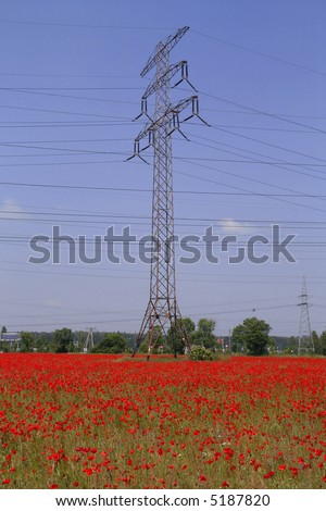 Coexistence of nature and human technology - electric pylons and poppy field