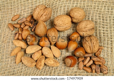Walnuts, hazelnuts, pine nuts and almonds. Natural food.