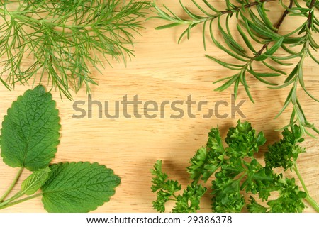 Dill, rosemary, lemon balm and parsley. Green herbs border background.