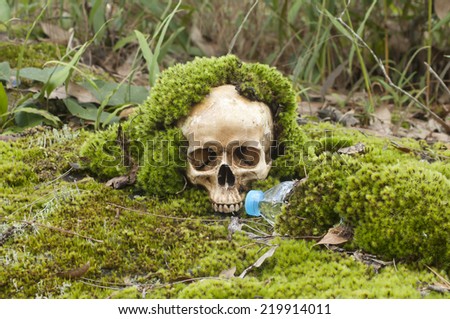 Moss was born in the skull