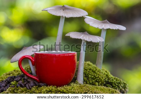 Coffee cup and  Mushrooms in nature
