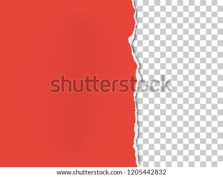 A piece of paper with the torn part on the right side. Vector template paper design.