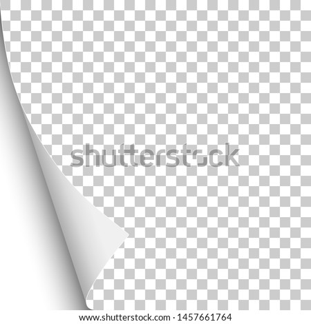 Sheet of transparent paper with curled lower left corner and white next page. Vector paper template.