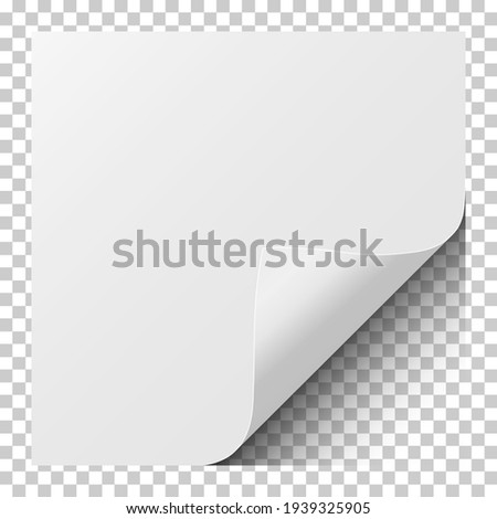 Sheet of white paper with curled corner and soft shadow. Element for ad. Vector illustration.