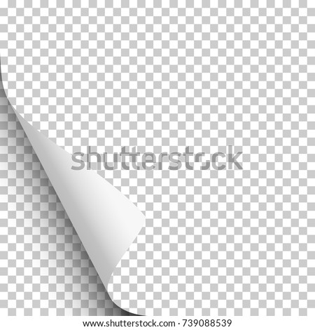 Vector lower left curl with shadow on blank transparent sheet of paper. Element for ad.