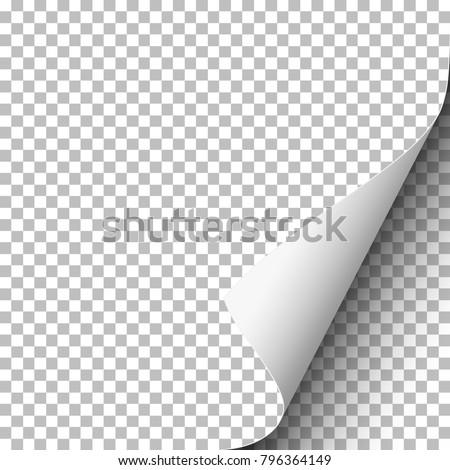 Vector transparent paper with lower right curled corner. Template paper design.