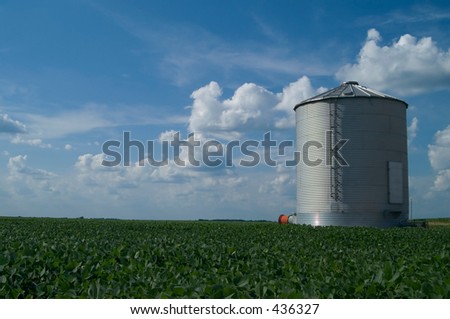 grain bin standing in soybean field with blue sky