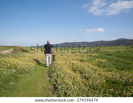 Man walking in a path in the middle of meadow in a sunny day