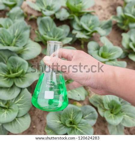 flask with green solution hold by hand in a vegetable garden