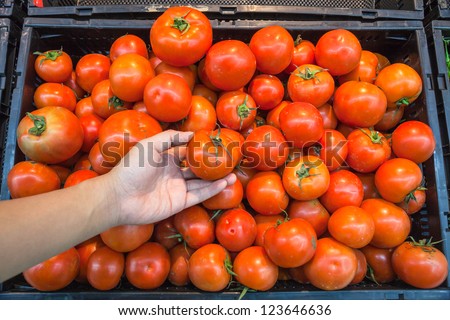 hand picking tomato in a super market