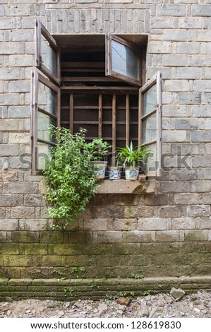 plant in vase in the old aged window