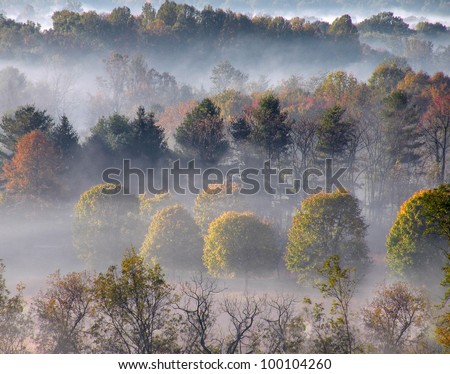 Misty hills in Warrenton, Virginia