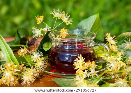 Cup with linden tea and flowers on wooden table in garden