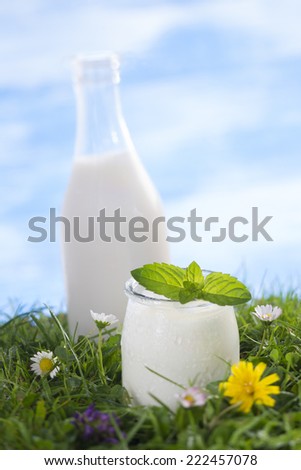 bowl of yogurt with mint leaf on the grass with flowers  the sky with clouds on the background.