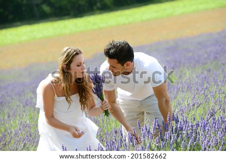 romantic young couple, man and woman in summer holiday making a lavender bouquet in lavender field provence France