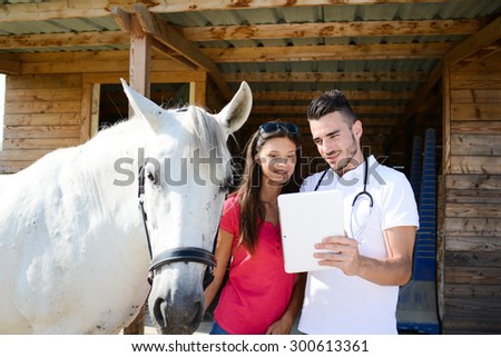 young man veterinary doing medical examination on beautiful white and gray camargue horse