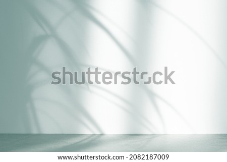 emerald green abstract background with tropical plant shadows. Minimal creative concept. Copy space. Foto d'archivio © 