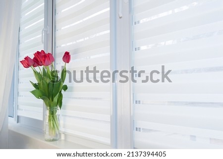 Window roller system day and night, fabric roller blinds. Foto stock © 