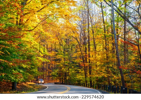 A small truck approaches on curvy road climbing through a sunlit autumn woods.